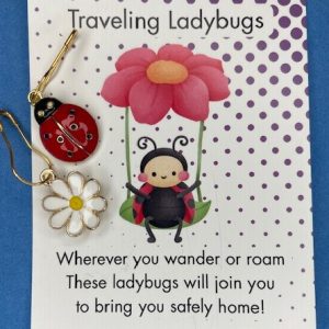 Progress Keepers Ladybug (2)