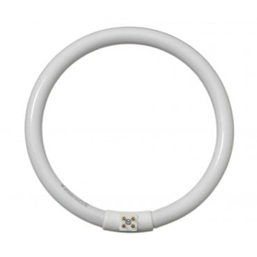 22w/T5 Circular Fluorescent Tube