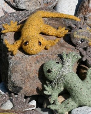 Gotta Get A Gecko 233